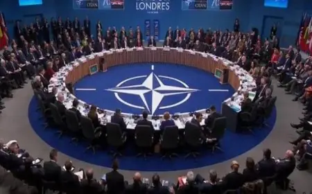 الناتو يعزز التزامه بمعاهدة عدم انتشار الأسلحة النووية ويؤكد أهمية تعزيز الأمن العالمي
