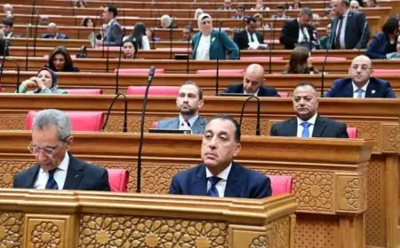 مدبولي يؤكد في مجلس النواب جهود القيادة السياسية لتعزيز استقرار المنطقة