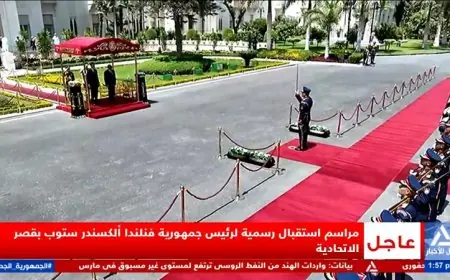 الرئيس السيسي يستقبل رئيس فنلندا إلكسندر ستوب في قصر الاتحادية لتعزيز العلاقات الثنائية