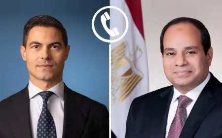 الرئيس السيسي يبارك لرئيس الوزراء الهولندي الجديد على تشكيل حكومته