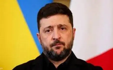 زيلينسكي وميرز يتحدثان عن أولويات التعاون الثنائي والدولي وأهميتها في تعزيز العلاقات