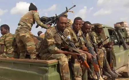 الصومال تشهد مقتل أكثر من 33 عنصراً من مليشيات الشباب الإرهابية في عملية ناجحة