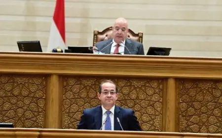 وزير المالية يقدم الموازنة الجديدة أمام النواب لتلبية الاحتياجات الأساسية للمواطنين