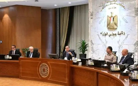 الحكومة تعتمد معايير موحدة لحوكمة اختيار ممثلي الدولة لتعزيز الشفافية والكفاءة