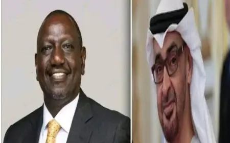 رئيس الإمارات ورئيس كينيا يستعرضان سبل تعزيز التعاون في مجالات متعددة