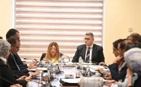 إيمان كريم تطلق مبادرة جديدة لتعزيز الإتاحة المستدامة وتمكين ذوي الإعاقة بشكل شامل