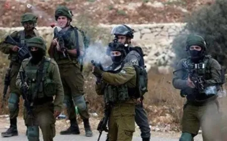 فلسطين: إصابات واعتقالات نتيجة هجوم عنيف للمستوطنين في رام الله