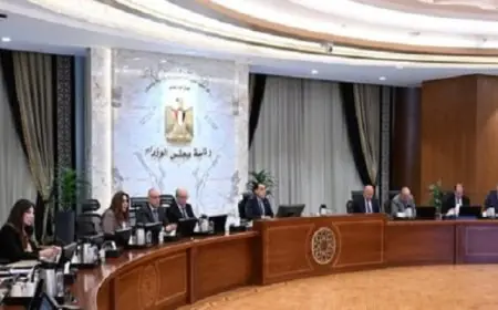 رئيس الوزراء يقود اجتماع المجلس الأعلى للطاقة لمناقشة آخر تطورات إمدادات الطاقة