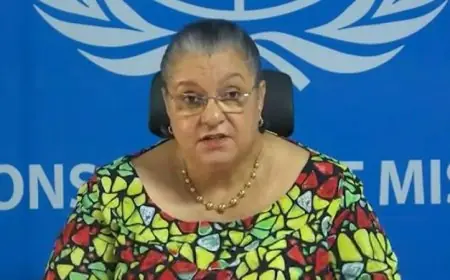 مبعوثة أممية تحذر من تأخر التقدم في العملية السياسية والأمنية في ليبيا