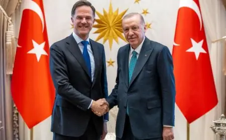 روته وأردوغان يستعرضان جاهزية قمة الناتو ويثنيان على الدور الدفاعي لتركيا