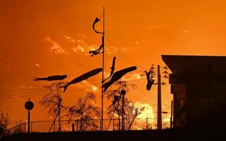 دعوات لإخلاء أكثر من ألف شخص بسبب استمرار حرائق الغابات في شمال شرق اليابان