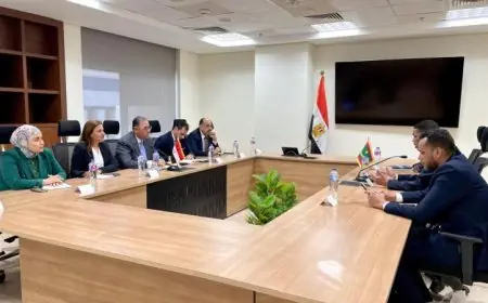 نائب وزير الخارجية يؤكد أولوية رعاية المصريين بالخارج وأهمية إسهاماتهم في تنمية الوطن