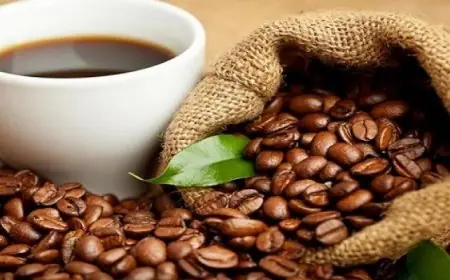 دراسة جديدة تكشف كيف تؤثر القهوة على جينات الإنسان داخل الجسم