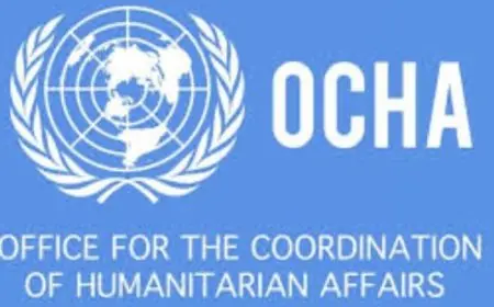 مسؤولة أممية تكشف عن الوضع الكارثي للإنسانية في لبنان بسبب العدوان الإسرائيلي