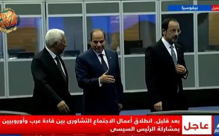 الرئيس السيسي يتوجه إلى قبرص لحضور الاجتماع التشاوري العربي الأوروبي