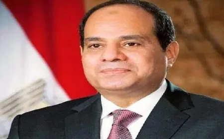 الرئيس السيسي يصل مطار لارنكا الدولي في قبرص للمشاركة في قمة عربية أوروبية