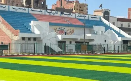 تطوير ملعب مركز شباب تلا في المنوفية بتكلفة 5 ملايين جنيه لتعزيز الأنشطة الرياضية