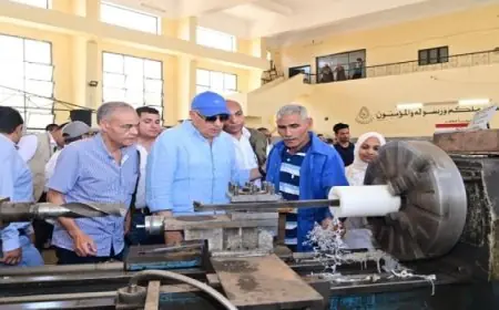 وزير الرى يزور وادى النقرة في أسوان ويحتفل مع المزارعين بنجاح موسم الشتاء