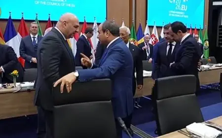 الرئيس السيسى يعقد لقاءات ودية مع قادة الاجتماع التشاورى لتعزيز التعاون الدولي