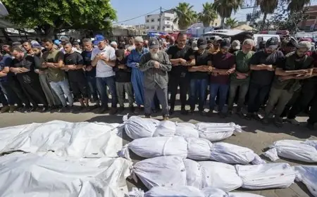 استشهاد 8 فلسطينيين في قصف مكثف للاحتلال في شمال وجنوب قطاع غزة