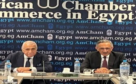 أمريكا تثني على جهود مصر في مواجهة تأثيرات التوترات الإقليمية