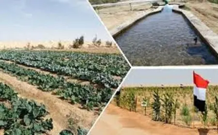 شيخ مشايخ سيناء يؤكد أن خطة تنمية سيناء تعبر عن إرادة سياسية قوية لتحقيق التنمية المستدامة