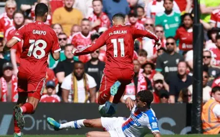 تفاصيل قرار الحكم بشأن حرمان محمد صلاح من ركلة جزاء في مباراة بالاس