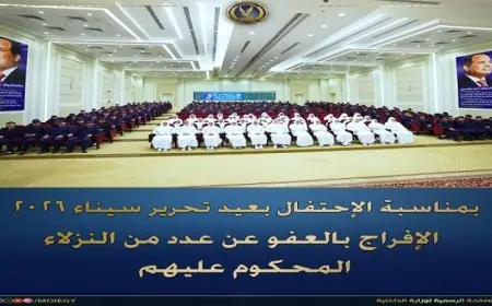 الإفراج عن 602 نزيل بمناسبة عيد تحرير سيناء عبر العفو العام بالفيديو