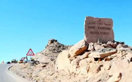 هزة أرضية بقوة 4.3 درجة تضرب على بعد 77.9 كم من سانت كاترين