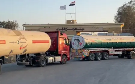 الهلال الأحمر المصري يوزع 105 آلاف سلة غذائية لإغاثة قطاع غزة