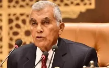 رئيس الشيوخ يؤكد أن ذكرى تحرير سيناء تبقى يوماً عظيمًا في تاريخ مصر وملحمة وطنية لا تُنسى