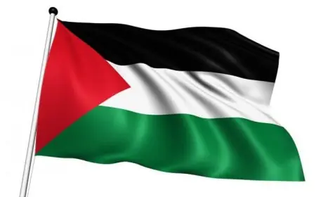 اللجنة المركزية للانتخابات الفلسطينية تكشف عن النتائج النهائية للانتخابات المحلية