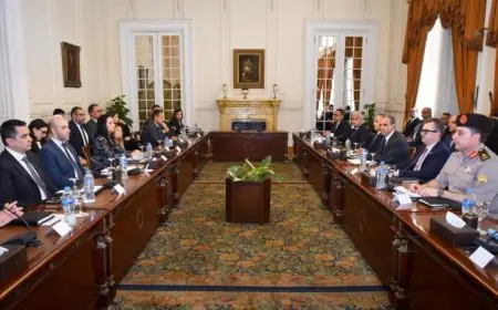 وزير الخارجية يقود الاجتماع السابع للجنة العليا الدائمة لحقوق الإنسان لتعزيز المبادئ الأساسية