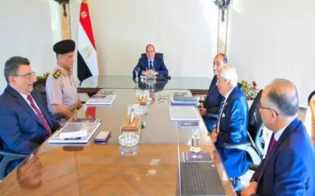 الرئيس السيسى يؤكد أهمية إنجاز مشروعات مدينة الجلالة بأعلى المعايير العالمية