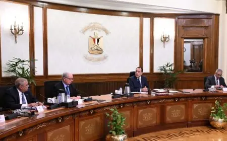 مدبولي يراقب تقدم مشاريع تطوير قطاع الغزل والنسيج واستثمار الأصول بشكل أمثل