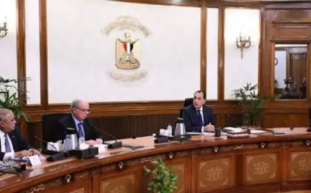 رئيس الوزراء يشرف على تحديث مشروعات الغزل والنسيج وتعزيز استغلال الأصول الأساسية