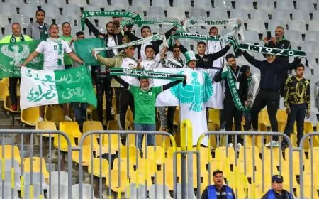 دمج الأندية في مصر بين التأييد المشروط والحفاظ على الهوية كخط أحمر