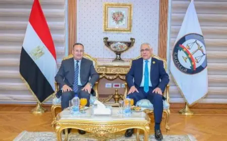 النيابة العامة تنظم فعالية ثقافية مميزة للاحتفال بالعبور وتحرير سيناء