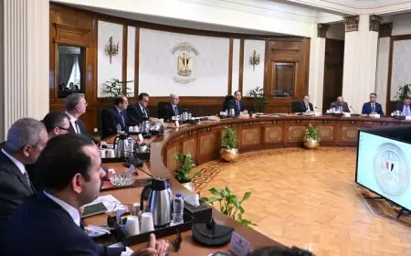 الحكومة تعلن استئناف العمل بالمحال التجارية وإلغاء قرار الإغلاق