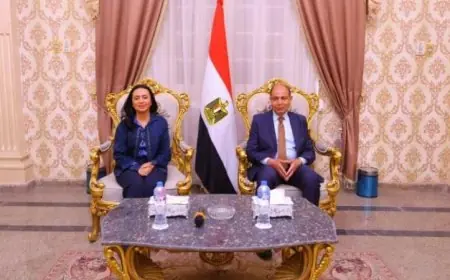 وزيرة التضامن تؤكد التزام الدولة بتعزيز شبكة الأمان الاجتماعي وتوفير الدعم للمحتاجين