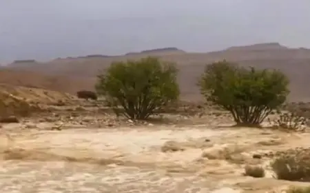 وزير الري يراقب تطورات السيول في شمال سيناء اليوم