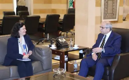 رئيس وزراء لبنان يتناول مع برنامج الأمم المتحدة الإنمائي سبل تعزيز إعادة الإعمار