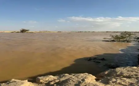 سيول طفيفة تجتاح مدن شمال سيناء بعد الأمطار الغزيرة