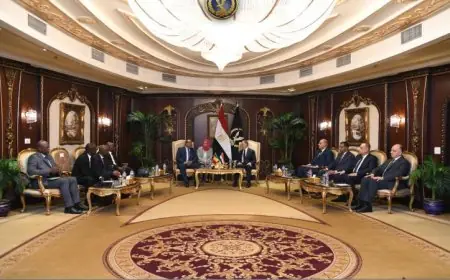 وزير الداخلية يلتقي نظيره المالي لتعزيز التعاون المشترك وتطوير سبل الدعم