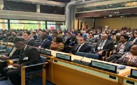 تعادل مثير يحسم مباراة الزمالك وإنبي في دوري نايل