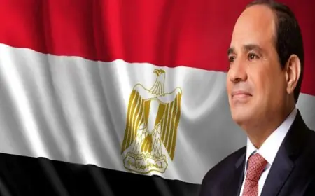 الرئيس السيسى يؤكد على أهمية توفير الرعاية القصوى للمواطنين المصريين في الخارج