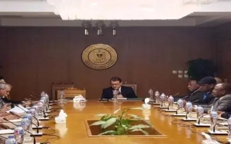 سفراء الدول الإفريقية يناقشون جهود مصر لخفض التصعيد في المنطقة خلال جلسة إحاطة