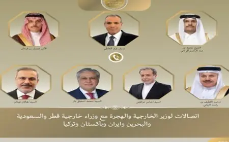 وزير الخارجية ينشط اتصالاته الإقليمية لتعزيز جهود التهدئة والمفاوضات