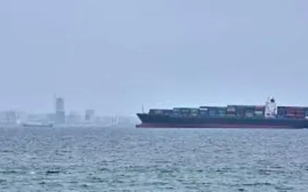 المنظمة البحرية الدولية تقاوم فرض رسوم جديدة على عبور مضيق هرمز