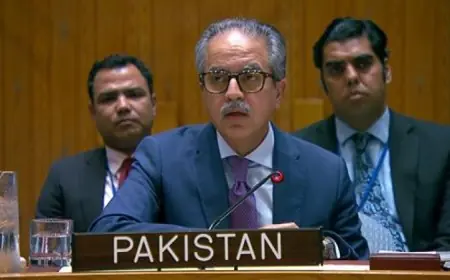 باكستان تؤكد لمجلس الأمن أهمية أمن الممرات البحرية وتتعهد بحماية التجارة بشكل مستمر